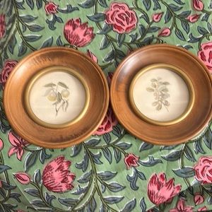 Pair of art botanical prints framed